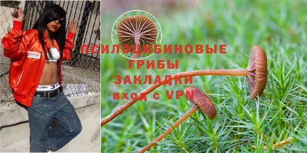 метадон Армянск